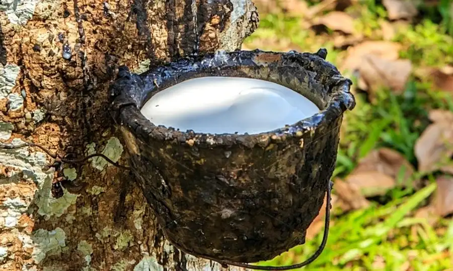 rubber compound material types